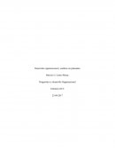 INSTRUCCIONES: La siguiente tarea es una aplicación de los contenidos de la semana 1.