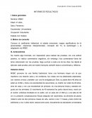 INFORME DE RESULTADOS MSBC