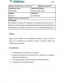 La estética unisex “ ROCHE” Actividad