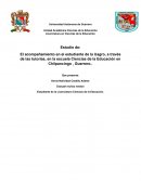 El acompañamiento en el estudiante de la Uagro, a través de las tutorías, en la escuela Ciencias de la Educación en Chilpancingo , Guerrero..