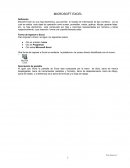 Excel Rapido y Sencillo