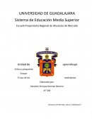 Ensayo El uso de los nootrópicos