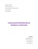 En este laboratorio observaremos la presencia de almidones en varios tubérculos diferentes con ayuda de un indicador, que es el yodo, y del microscopio.