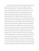 Por qué amamos a los perros?