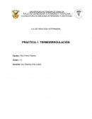 PRACTICA 1- TERMORREGULACIÓN