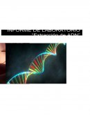 Informe de Laboratorio Extracción ADN.