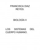 BIOLOGÍA II LOS SISTEMAS DEL CUERPO HUMANO