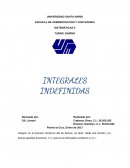 TRABAJO INTEGRALES