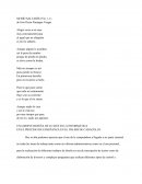 Ensayo de Poema Mi rio saltarín