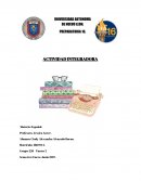 EL BULLYING COMO PROBLEMA SOCIAL.