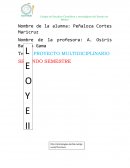 PROYECTO MULTIDICIPLINARIO