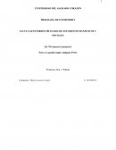 El nuevo Foro la pasion segun antigona perez