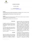 EL MUNDO ES UN SISTEMA