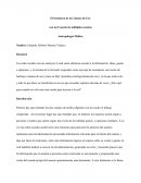 El fenómeno de la Cámara de Eco con un Usuario de múltiples cuentas