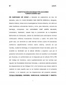 Constitución Sociedad por Acciones
