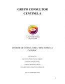 INFORME DE CONSULTORIA “MINI SUPER LA CATRINA”