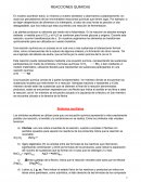 Reacciones quimicas resumen.