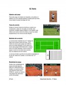 Para este juego se emplea una raqueta y una pelota, el objetivo es con la raqueta golpear la pelota para que ésta cruce hasta el campo de juego del rival.