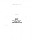 LABORATORIO DE HISTOLOGÍA HUMANA PRÁCTICA Nº 4