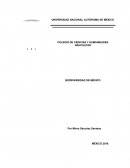 Diversidad, evolución, especies, ecosistemas, riqueza.