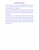 Violencia Familiar ensayo.