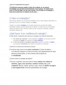 ¿Qué son exactamente los piojos?