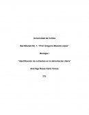Identificación de nutrientes en la alimentación diaria