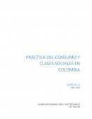 PRÁCTICA DEL CONSUMO Y CLASES SOCIALES EN COLOMBIA.