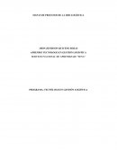 MAPAS DE PROCESOS DE LA RED LOGÍSTICA