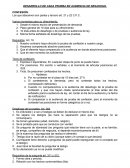 DESARROLLO DE CADA PRUEBA EN AUDIENCIA DE DESAHOGO.