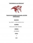 Ensayo de video de gestion empresarial.