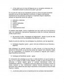 Cree usted que a la hora de negociar con un proveedor extranjero, es importante conocer la cultura de su país?