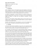 Ensayo sobre El Concursante