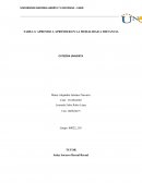 Investigacion TAREA 3: APRENDO A APRENDER EN LA MODALIDAD A DISTANCIA