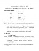 Un nuevo Proyecto de arte graffiti