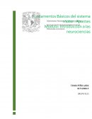 El movimiento se realiza por músculos, y del SNC recoge la inf. Sobre movimientos que se están realizando
