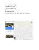 Plan de trabajo Ochentay4STUDIO S.A DE C.V