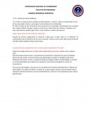 TEMA: Reflexión mentes Brillantes