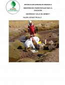 Derecho Estudios de impacto ambiental y sociocultural en Venezuela