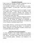 Los incendios forestales se dan más común en verano: barbacoas ilegales , el efecto lupa , acaso echo o quemar ramas .