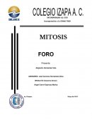 Mitosis ¿Qué es la mitosis?