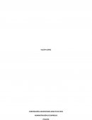 POLITICA FISCAL Como se determina la Política fiscal en Colombia?