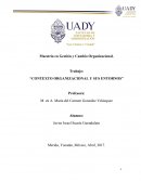 En el presente trabajo podremos observar diversos entornos, los cuales son capaces de influir de diversas maneras dentro de las organizaciones que conforman nuestra sociedad y ayudan al desarrollo de nuestro país de una u otra manera.