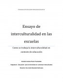 PEDAGOGIA EN EDUCACION PARVULARIA SECCION III