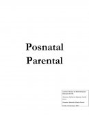 Derecho a Permiso Postnatal Parental