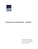 Áreas de una competencia. Evaluación sumativa final – Unidad 1