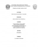 Determinación de colesterol en plasma venoso: Procedimiento y resultados