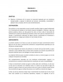 PRACTICA N° 3 AGUA Y ELECTROLITOS