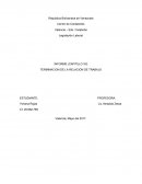 INFORME (CAPITULO XII) TERMINACION DE LA RELACION DE TRABAJO