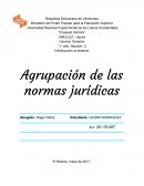 Categoría Jurídica: Conjunto de normas jurídicas destinadas a regular una determinada situación jurídica.